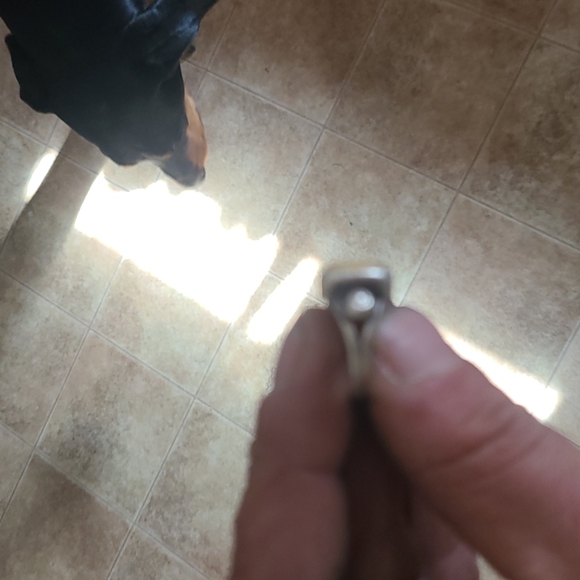 Silver and ivory ring - Picture 3 of 4